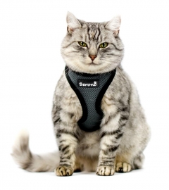 Beroni Softgeschirr Upgrade Easy Walking Katzengeschirr 2.0 grau