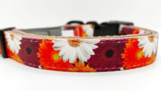 Hundehalsband Blumen floral gepolstert